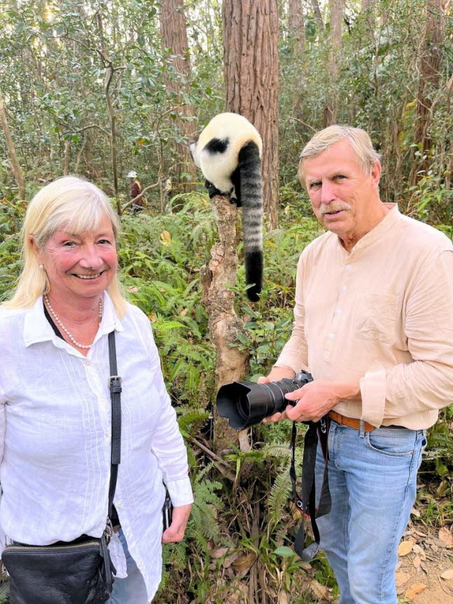  Gru mit Feuchtnasenaffen ( Lemur ) auf Madagaskar