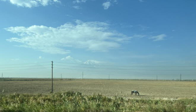 Die Region Ararat gehrt zu den wirtschaftlich erfolgreichen Gebieten Armeniens. Ihr Standort befindet sich in der fruchtbaren Ararat-Ebene und stellt einen Anteil von 15% am jhrlichen Gesamtlandwirtschaftlichen Produkt Armeniens dar. Es ist vor allem au